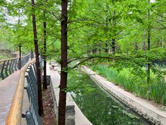 -白水寺森林公园