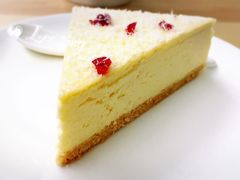 拔丝芝士-有猫主题·治愈系猫咖(曾厝垵店)