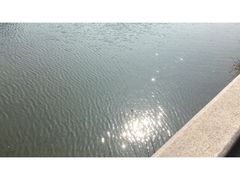 -咸宁万豪温泉谷度假区