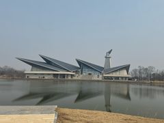 -盐城丹顶鹤湿地生态旅游区