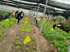 -上海多利农业发展有限公司