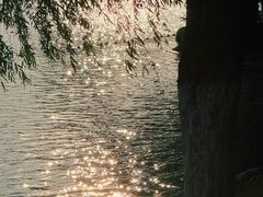 -天鹅湖体育公园