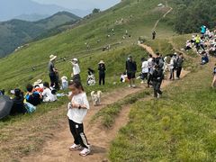 -灵山