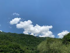 -牛背梁国家森林公园
