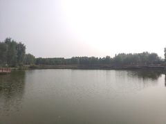 -东郊湿地公园