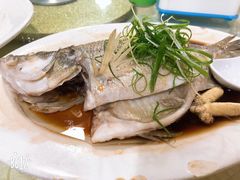-老字号蛇口德记烧腊饭店·海鲜加工