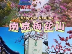 -梅花山(明孝陵内)