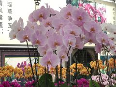 -兰陵国家农业公园