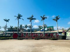 -亚龙湾国际玫瑰谷