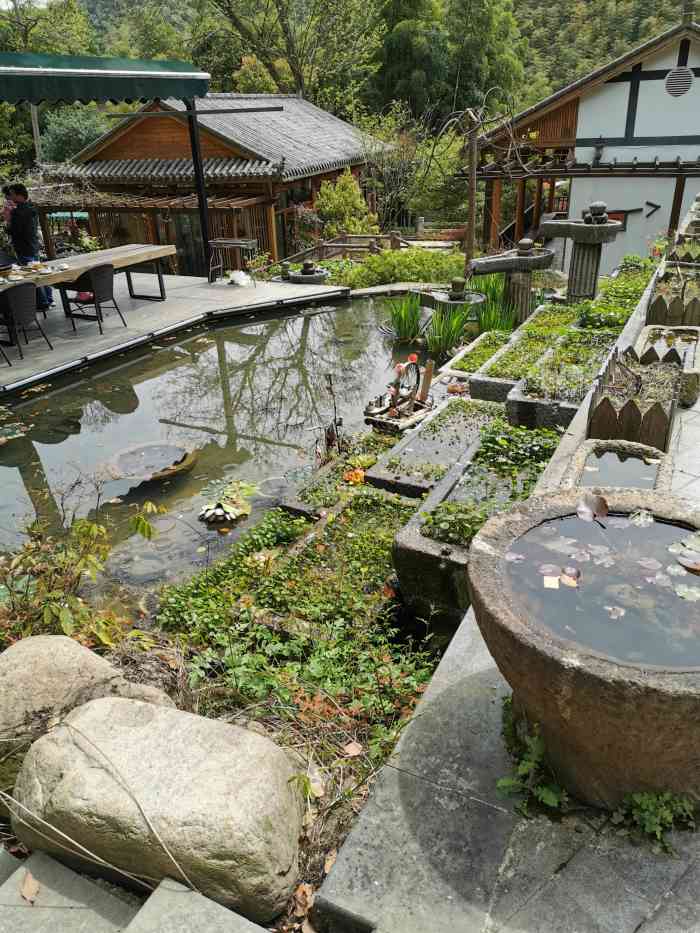 径山农家乐-"其实,我也不知道吃的是不是这家,具体地址.