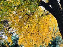 -贮水山儿童公园