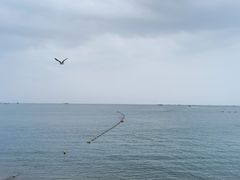 -大连金石滩滨海国家地质公园