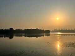 -丁香湖公园