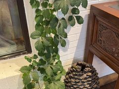 -慢丽江·云南野生菌土鸡锅(西山店)