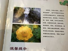 -一盏明灯全素斋(殊像寺店)