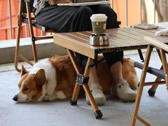 -KUDDO COFFEE(天河城店)