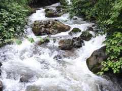 -鹿院坪生态旅游景区