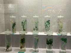 -青海藏文化博物院