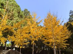 -四门塔风景区