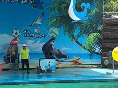 -荆州中山公园动物园