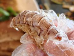 -阿尔法海鲜排档(爱琴海店)