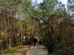 -天台山赤城山景区