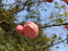 -白塘生态植物园