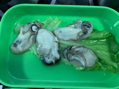 -蚝专家