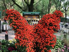 -上海共青森林公园