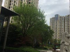 -仁恒西郊花园