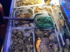 -捞围鲜·港式打边炉(海阳路店)