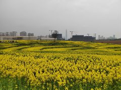 -三圣花乡旅游区