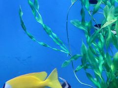 -石林冰雪海洋世界