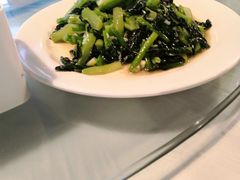 -京北渔家傲