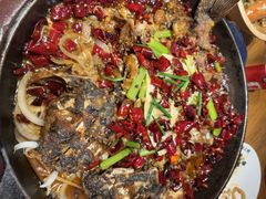 -老板恋上鱼(恒隆广场店)