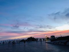 -宝安西湾红树林湿地公园