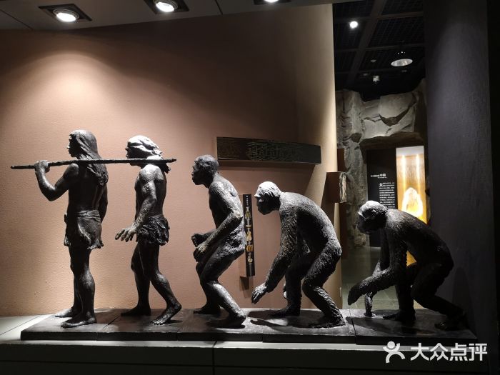 重庆中国三峡博物馆(重庆博物馆)景点图片