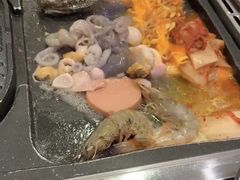 -海抱猪