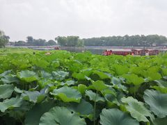 -同和居(什刹海店)