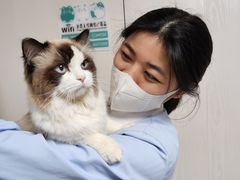 -谐和贝康宠物医院24小时·宠保定点(急重症转诊中心)