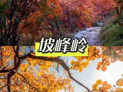 -周口店坡峰岭风景区