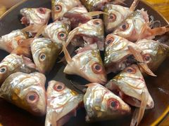 -章记正宗南岗鱼蛋火锅