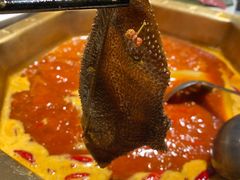 -蜀九香火锅(九眼桥店)