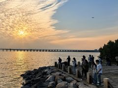 -宝安西湾红树林湿地公园