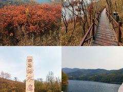 -北京西山国家森林公园