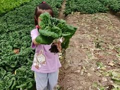 -菊园百果园
