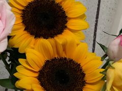 -循礼门鲜花花市(武汉循礼门店)