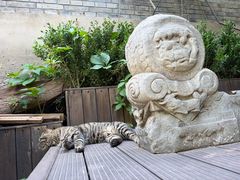 -正阳书局(西四南大街店)