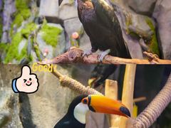 -正佳雨林生态植物园