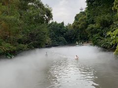 -广州长隆飞鸟乐园